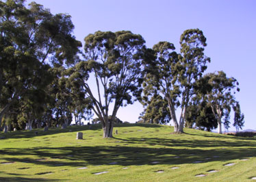 Goleta Cemetery Grounds