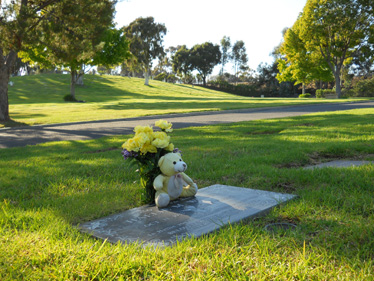 Goleta Cemetery Photo of Grave Site with Flowers and Teddy Bear