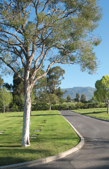 Photo of Goleta Cemetery Grounds
