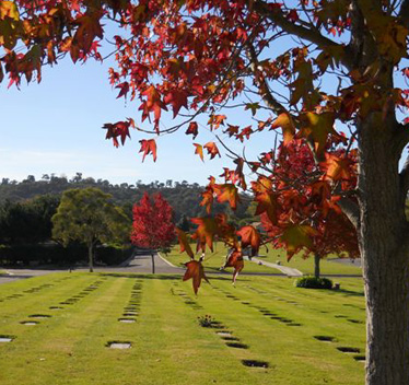 Goleta Cemetery