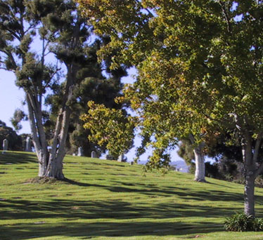 Goleta Cemetery